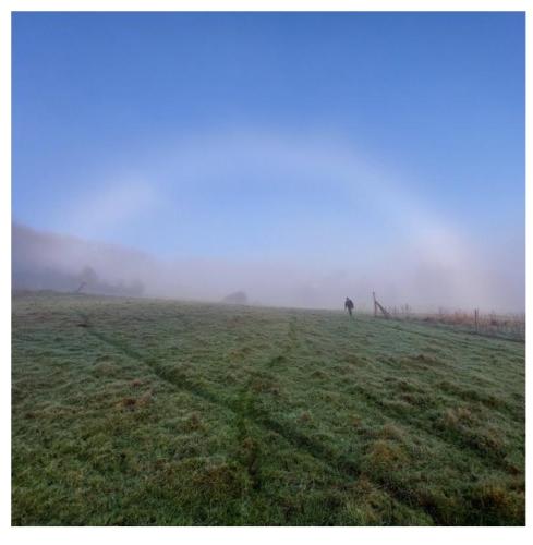 78b8abfb-1a9a-4a48-92c3-7db8a298de7d