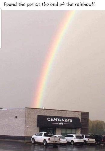 image_9F8E7C99-4E98-421C-878F-2B71C030F116