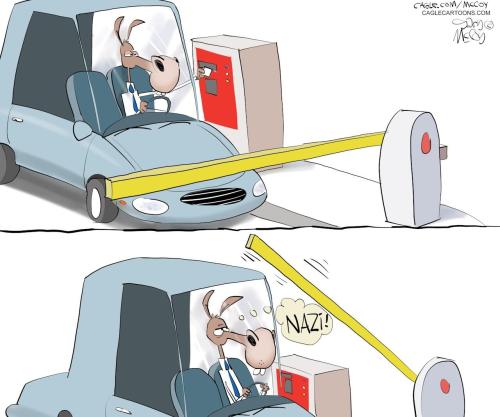 image_1BE9737D-1994-4966-94E3-61C239250812