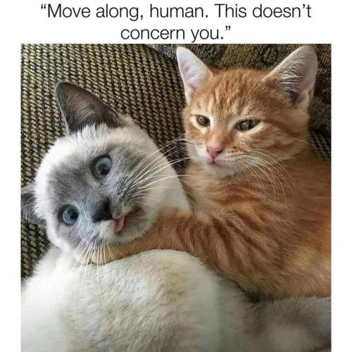 FB_IMG_1738861896794