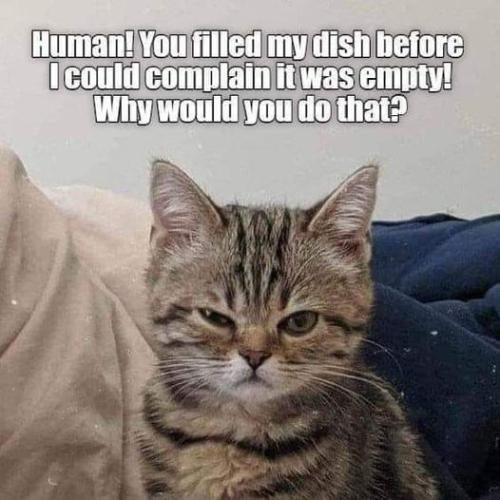 bcb887c4b6d11606dd05a766805d2169