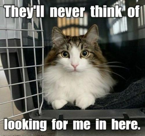 e3d095aa409f6a99c51bbb54b8b1dbd7