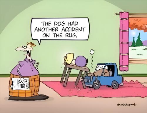 FB_IMG_1740347145786