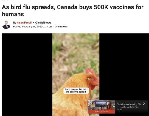 photo_2025-02-21_14-54-14