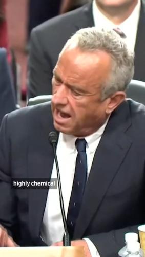 IMG_20250217_144245_373