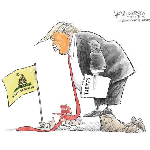 FB_IMG_1739732576726