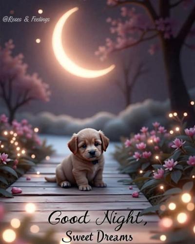 FB_IMG_1738785766611