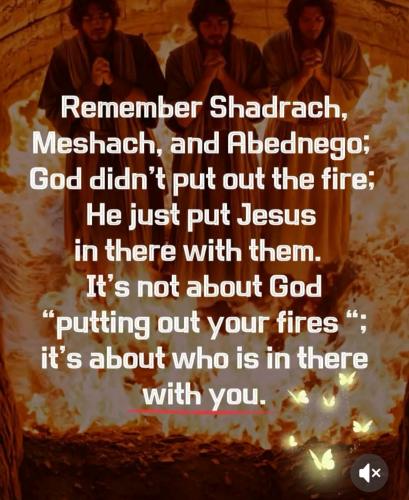 Screenshot_20250205_232750_TikTok