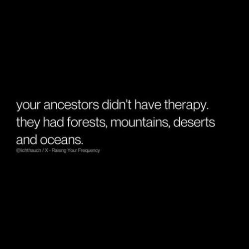 480470815_10228793993896591_970119110233484901_n