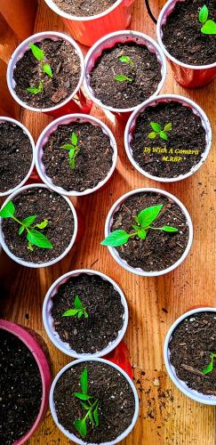 Screenshot_20250207_064358_Gallery