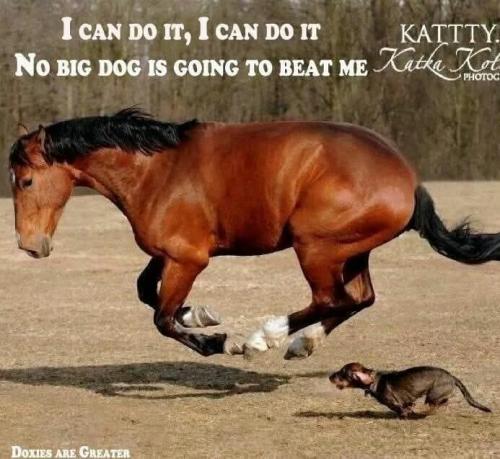 FB_IMG_1739788476010