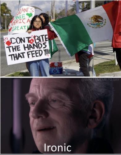 IMG_20250208_074622_258