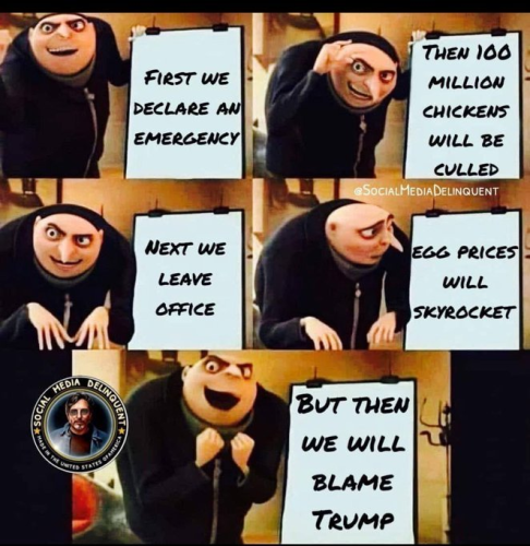 image_2025-02-23_081348855