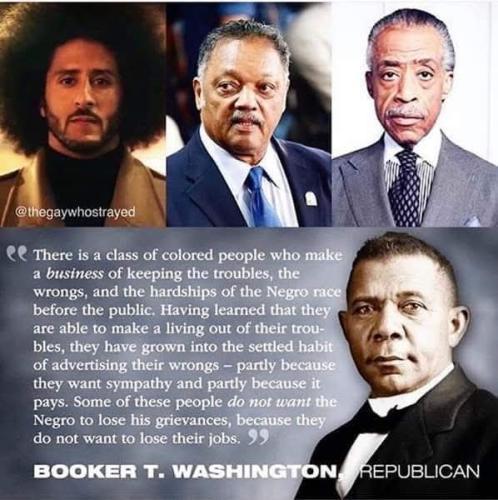 Top photo are demonicRATS