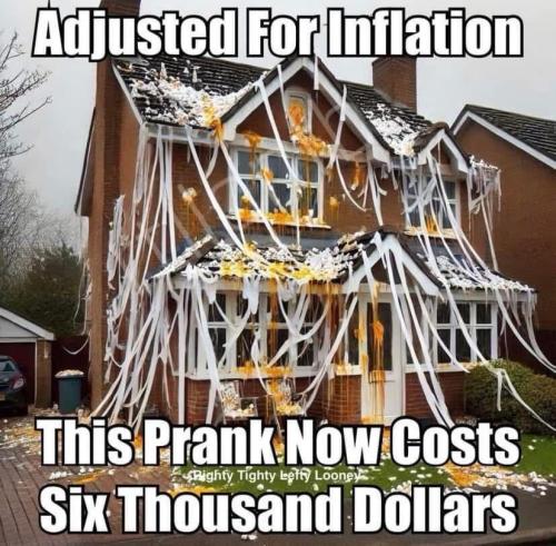 image_015FBD10-58F2-421F-8F0A-8581F441BB3D