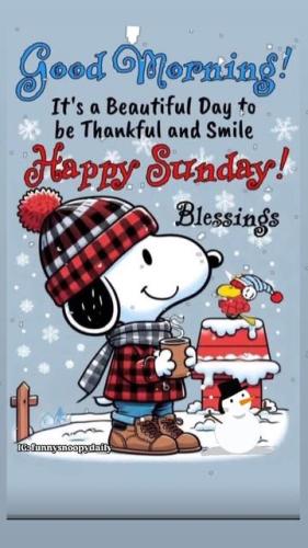 morning winter saturday 8