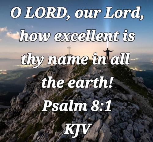 bca041c5-69a4-4a95-9416-8b0786460a08