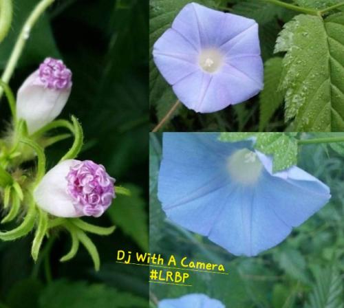 Screenshot_20250222_064321_Gallery