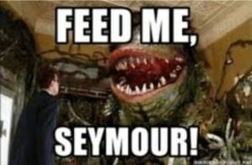 Screenshot_20250228_065831_Gallery