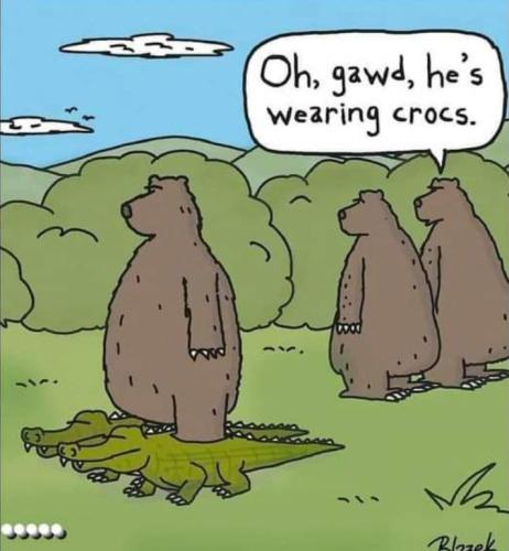 Screenshot_20250216_065500_Gallery