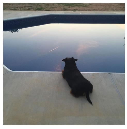 830ae649-eca5-4ef0-afb2-9dc974a0bbf4