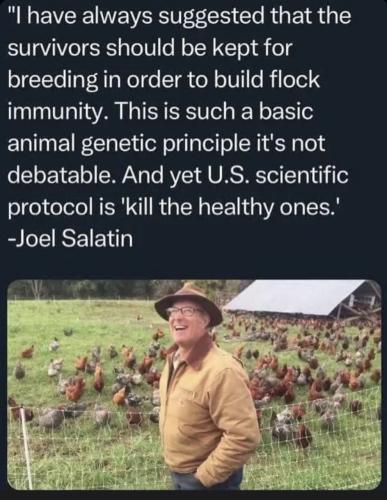 photo_2025-02-19_21-52-28