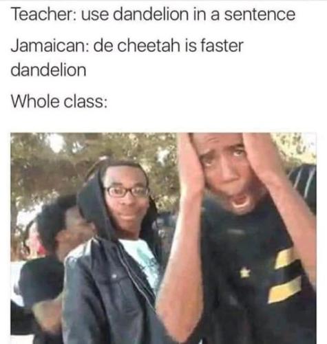 use dandelion