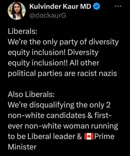 party of diversity