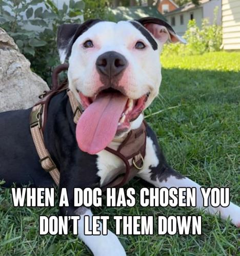 FB_IMG_1739395966011