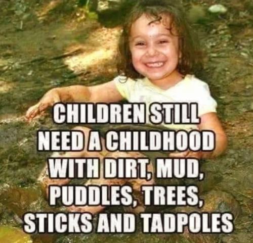 FB_IMG_1739714307035