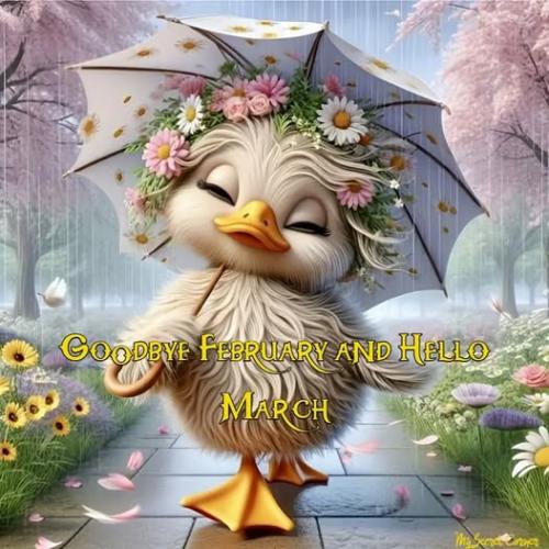 481081348_1035232161966493_3374768582050176351_n