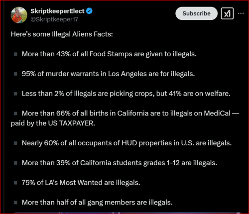 Illegals 1