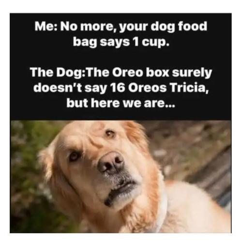 D80BFE45-D909-4D6C-9E3F-EA826AAD6BF7