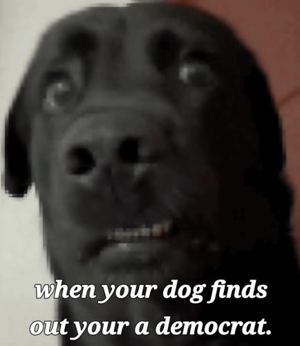 ab59a166-08b7-465e-a943-fa7e0d2561b3