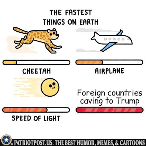 01JKR187CQ2G1SJYN6TY9NPD5H