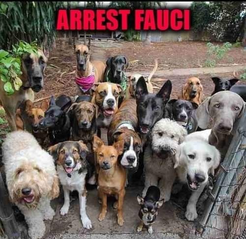 5b721ea7-e498-4e4e-b446-621d9599b2e7