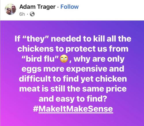 photo_2025-02-21_16-46-06