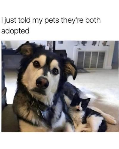 FB_IMG_1739559776570