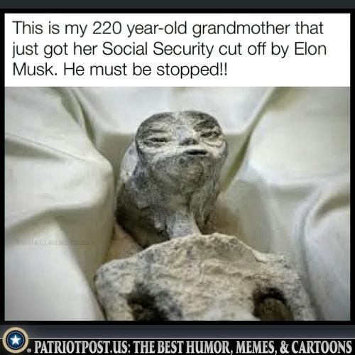 220 yr old grandma
