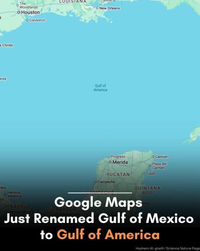 FB_IMG_1740066283803