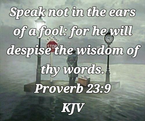 e89c77f9-6f50-435b-aee9-6f5ebbcb728d