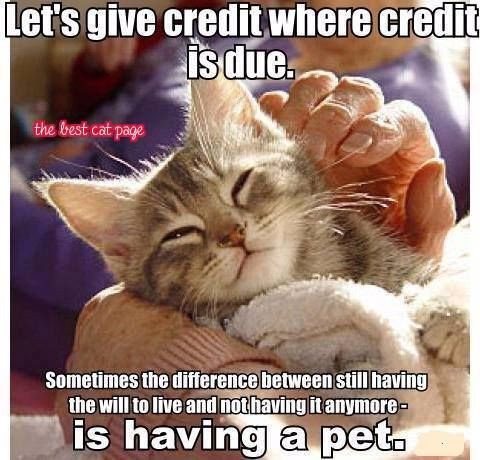 5f05853f536308d29ad7f1142df90014