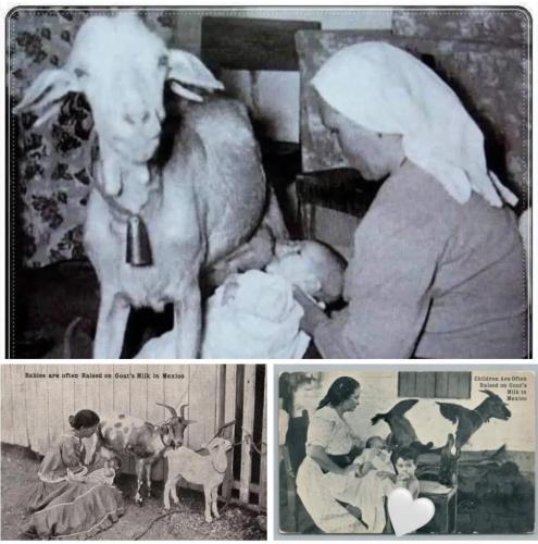 80b623ad-8fad-4db3-b152-8ea275032694