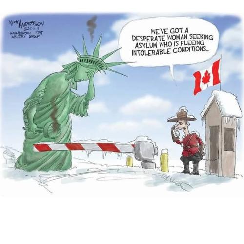 FB_IMG_1739739935724