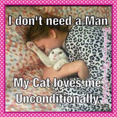 6ce8a4a93f0e3fbc6df36ca7b70bc582