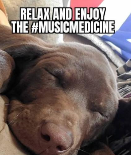 Screenshot_20250227_185039_Gallery