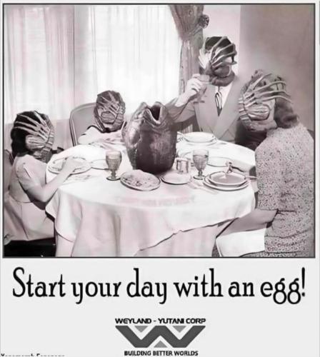 image_5A65A4ED-CFAB-445D-A3E6-D6FD9C4FD7AD