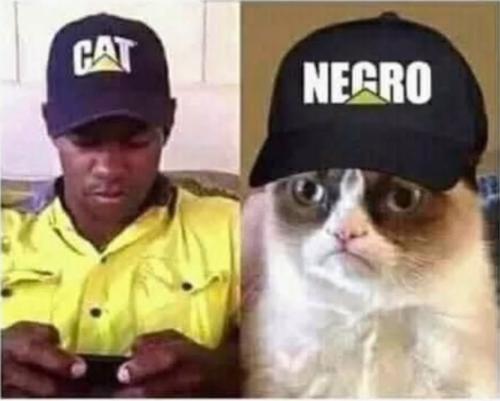 C000C726-DB29-4C76-9A8B-BBA7C37E3CA7-62230-00000B27A79D69FF