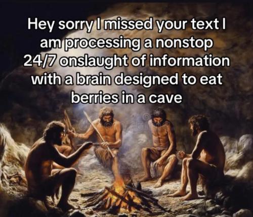 photo_2025-02-05_16-50-00