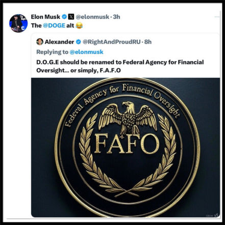 government efficiency40